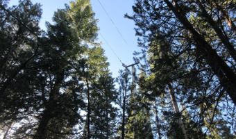 175 Silver Tip Dr, Bear Valley, CA 95223