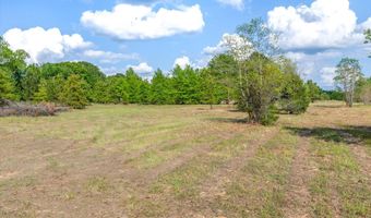 Hwy 69, Alba, TX 75410