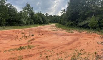 Girard Court lot 37, Alford, FL 32420