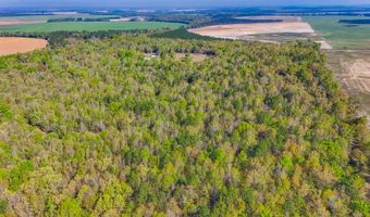 2970 Cooktown Rd, Bainbridge, GA 39817