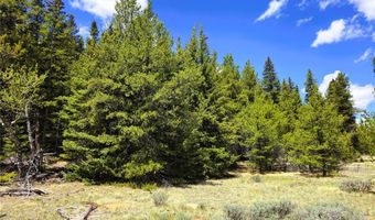 PCS # 10594 Looney Lane lot 0, Alma, CO 80420