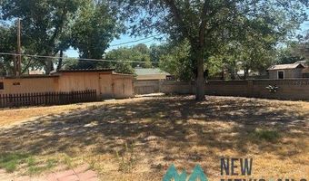 1108 N Guadalupe St, Carlsbad, NM 88220