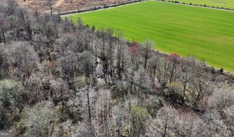 010 Bar M Farm, Andalusia, AL 36421