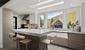 120 S Spring St 1, Aspen, CO 81611
