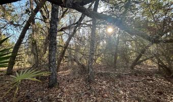 NW Lake McKenzie Rd, Altha, FL 32421