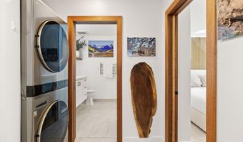 910 W Hallam St 9, Aspen, CO 81611