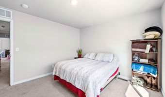 620 Apache Trl C2, Ault, CO 80610