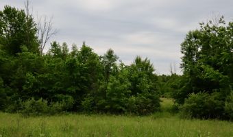 V/L Roseburgh, Alger, MI 48610