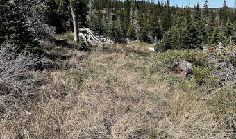 115 S Olympic Dr, Brian Head, UT 84719