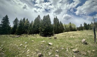 Lot 15 Pleasant Meadow Drive, Angel Fire, NM 87710