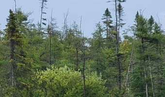 V/L 40AC Hamilton Road, Alpena, MI 49707