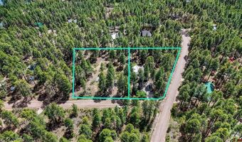14 Pine Cone Dr, Bayfield, CO 81122