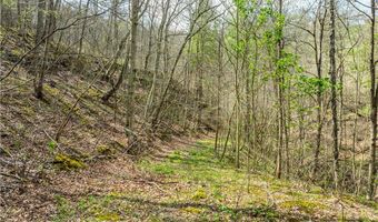 47691 E Captina Highway Rd, Alledonia, OH 43902