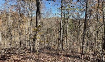 240 Malone Ridge Rd, Albany, KY 42602