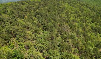 Tract 46 Trail Ridge Rd, Albion, OK 74571