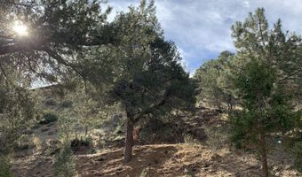 36796 Goldshot Creek Rd, Mountain Center, CA 92561