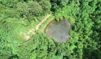 800 Pond Lick Rd, Annville, KY 40402