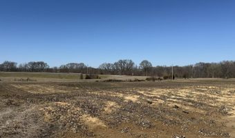 2966 N U.S. 412, Alamo, TN 38001