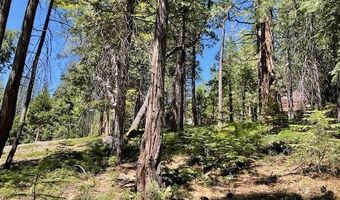 1474 Moran Rd, Arnold, CA 95223