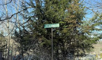 6 Viewland Ct, Alton, NH 03810