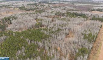 TBD Lane 55 County Road 341, Aurora, MN 55705