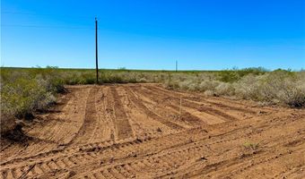 1252 CR 202, Alice, TX 78332