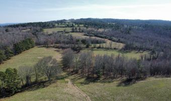 2665 Mt. Carmel Rd, Altoona, AL 35952