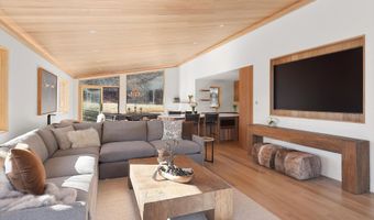 120 Turtle Cv, Aspen, CO 81611