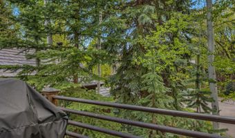 1354 Sierra Vista Dr, Aspen, CO 81611