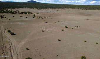 7 N CR 8171, Concho, AZ 85924