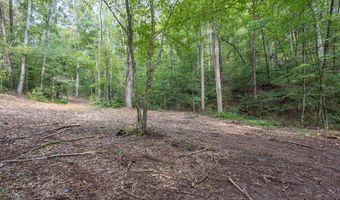 23 59 Ac Chestnut Flats Rd, Andrews, NC 28901