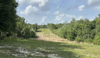 81 1+/- AC Old River Rd, Baker, FL 32531