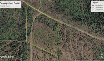 Baskahegan Road, Bancroft, ME 04497