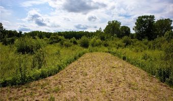 VL 104th Avenue, Allegan, MI 49010