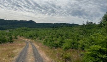 Northrup Creek Rd, Birkenfeld, OR 97016