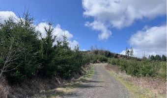 Northrup Creek Rd, Birkenfeld, OR 97016