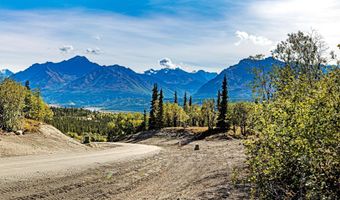 33739 W Arnica Ave, Chickaloon, AK 99674