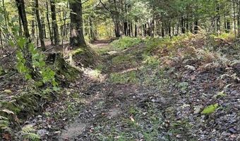 360 Ives Hill Rd, Afton, NY 13730