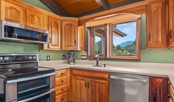 679 Pinon Dr, Basalt, CO 81621