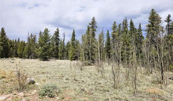 700 Looney Ln Lot 0, Alma, CO 80420