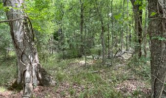 871 HWY 1, Alexandria, LA 71302