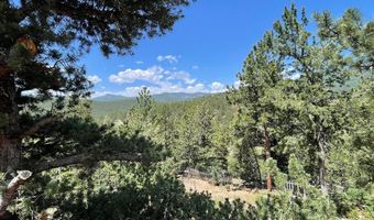 383 Evergreen Rd, Black Hawk, CO 80422