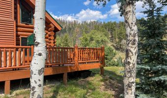 27667 Buckhorn Rd, Bellvue, CO 80512