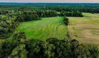 100 Acres Harmony Church Rd, Andalusia, AL 36421