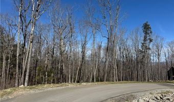 ES71 Twisted Oak Path, Banner Elk, NC 28604