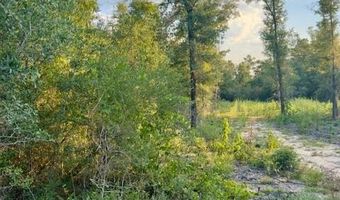 BLK 211 Vancouver Drive lot 21, Alford, FL 32420