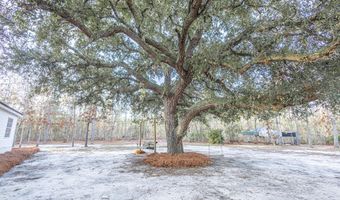 2441 S US Hwy 1, Alma, GA 31510