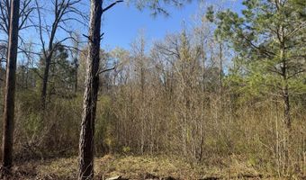 Little Prong Road NW lot 2 & 3, Ash, NC 28420