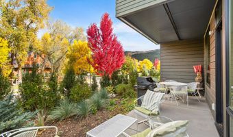 100 EVANS Road 102, Basalt, CO 81621