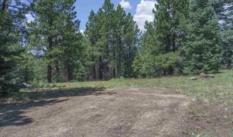 9 Buckskin Rd, Angel Fire, NM 87710